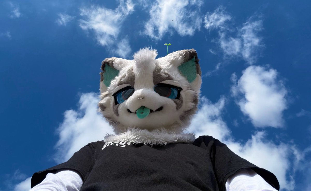 ooMil0's tweet photo. frutiger aero kitty 🫧 https://t.co/ql9LbWPfYq