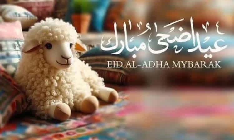 khaled elawady tweet media