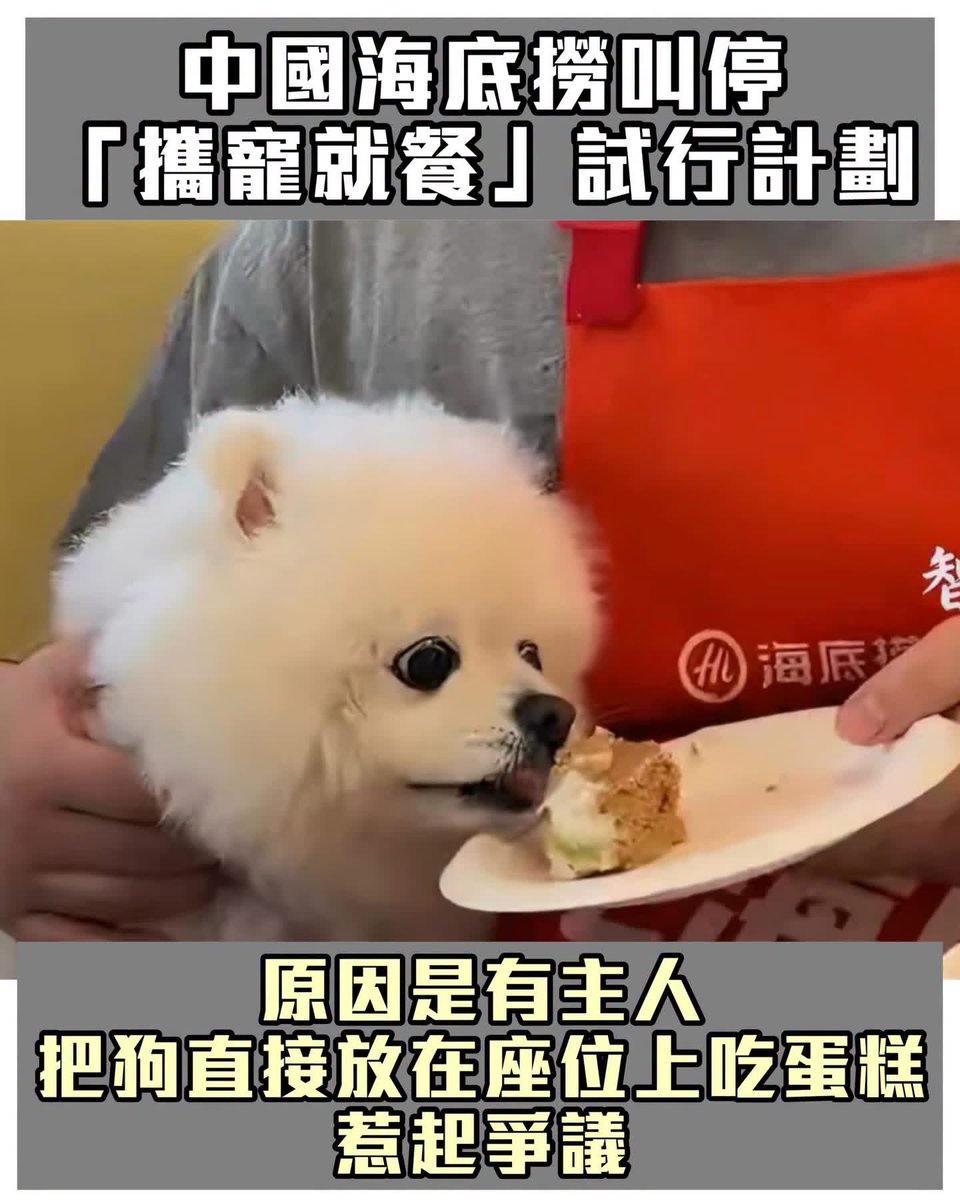 心寒 tweet media