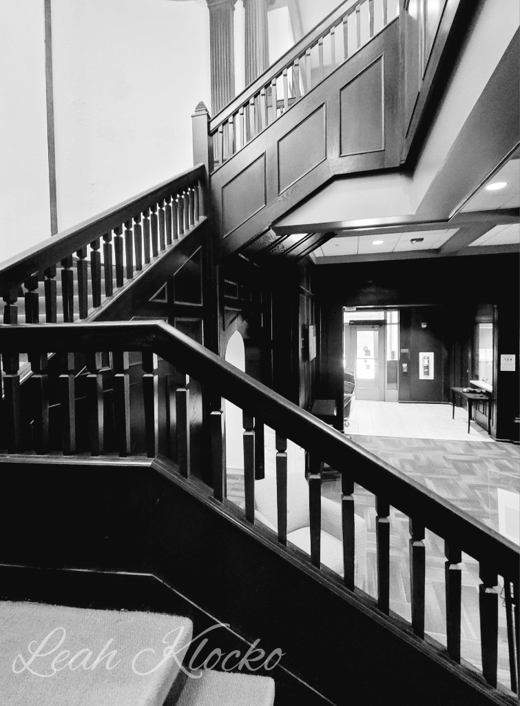 leahklocko's tweet photo. Today's B&amp;W #blackandwhitephoto #blackandwhitephotography #blackandwhitephotos #blackandwhite https://t.co/xIAzPUdsIp