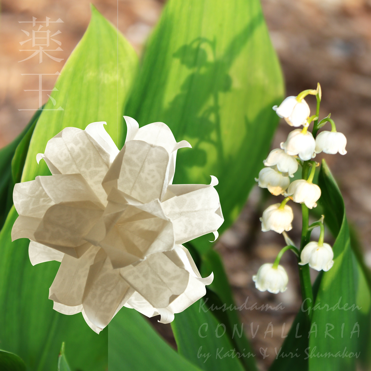 Oriland's tweet photo. Origami Kusudama Garden. 'Convallaria Dreaming'💮

Diagrams @ https://t.co/v6VvBX1LIm

The Lily-of-the-Valley is a charming plant that inspired this design! 

Happy folding!
🖼️to📹with AI tech https://t.co/Llq4JIbGdH