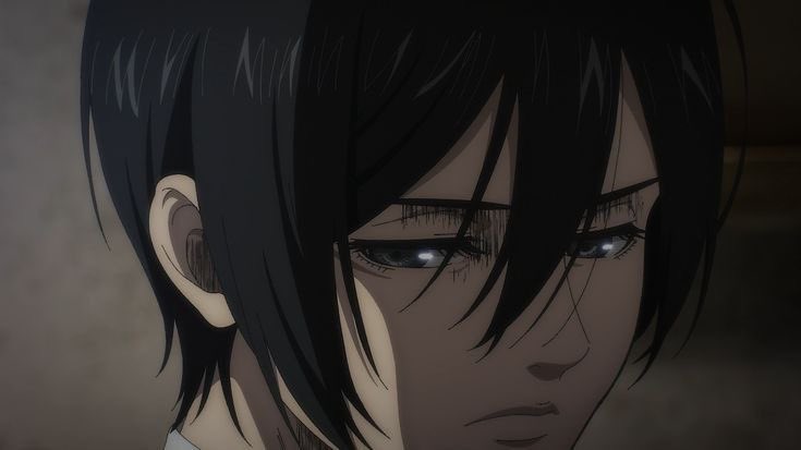 mikasalover's tweet photo. Mikasa anime frames to lower your cortisol https://t.co/FiRqMmhIU8