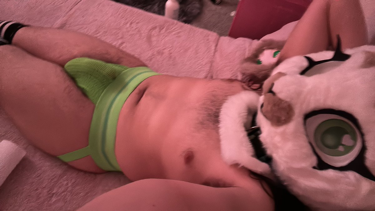 Naughty Bunny tweet media