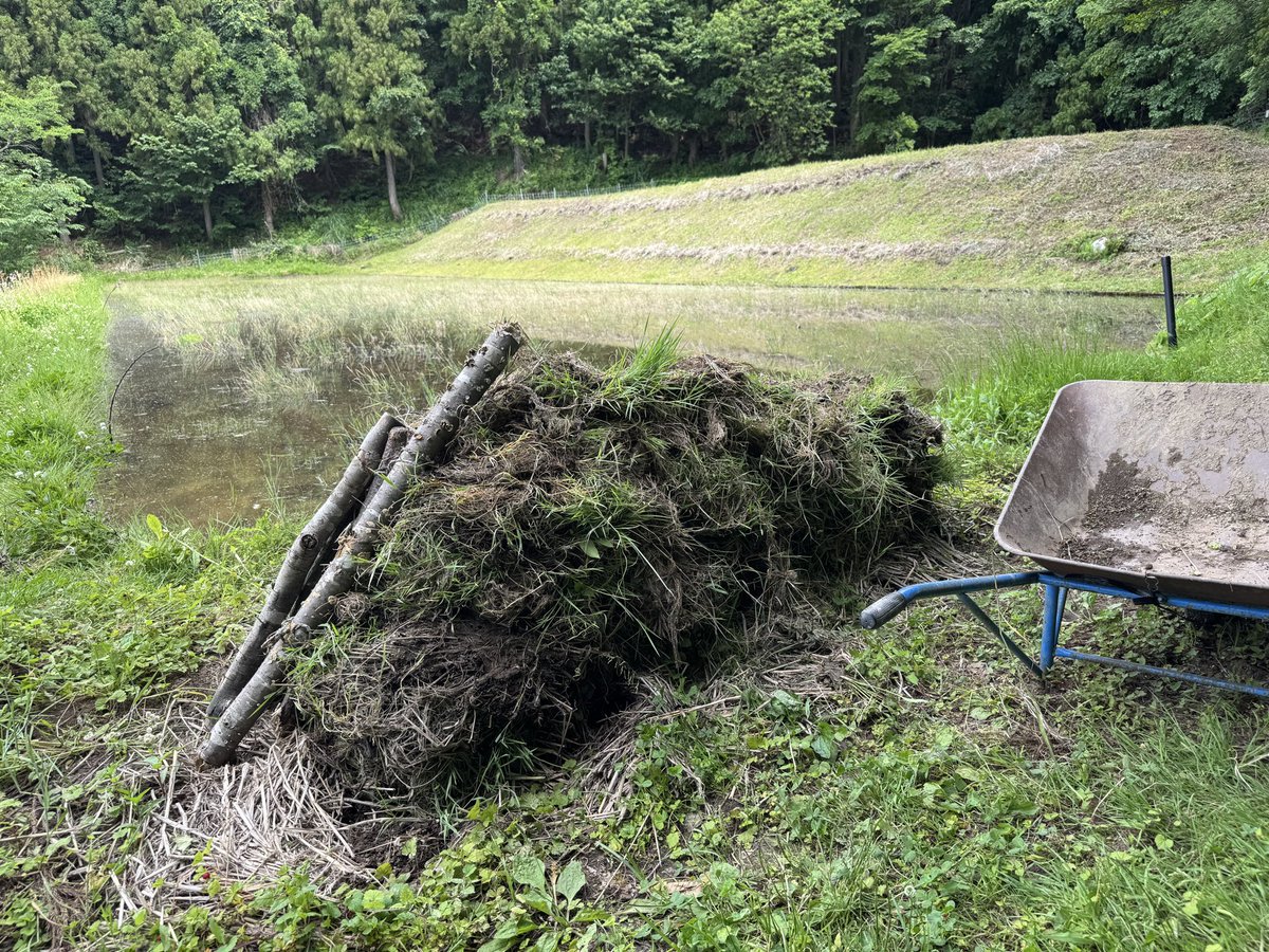 yrm__'s tweet photo. ワタシハ タンボ チョットデキル。

I can tend rice paddies a little. https://t.co/HWawjmDiuo