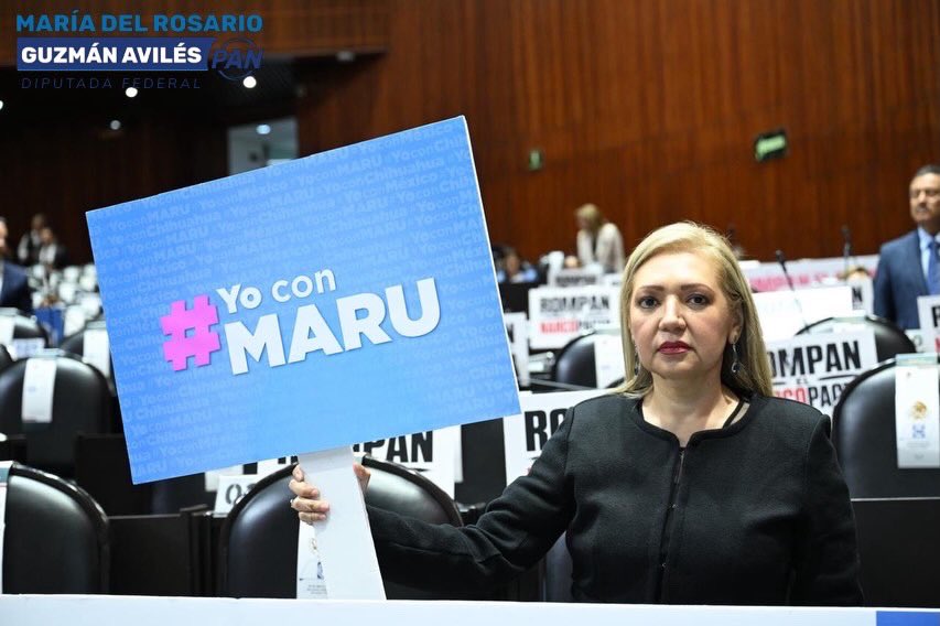 Rosario Guzmán tweet media