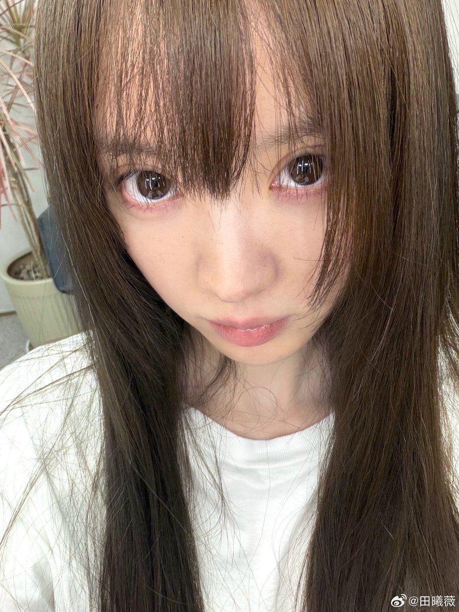 비 tweet media