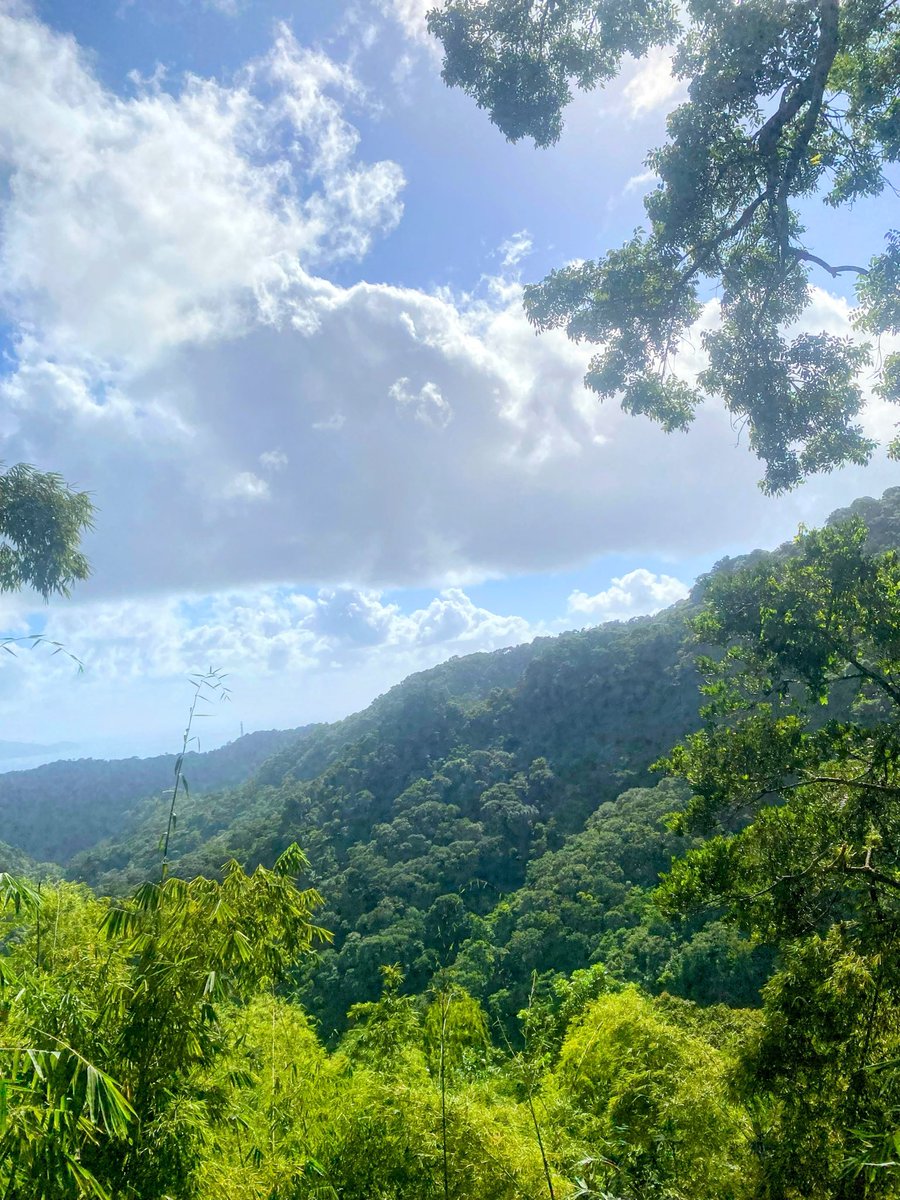 ezetrois's tweet photo. Parce que tu étais la Ce jour là
J’avais plus besoin personne d’autre que toi .
#martinique
#balata
# https://t.co/JA1mvbMiCZ