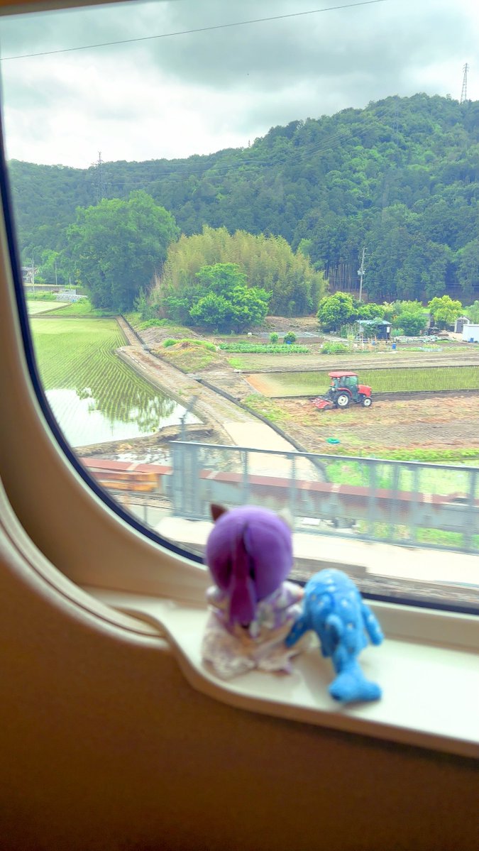 Post by まろ🦊 on X: 🚄