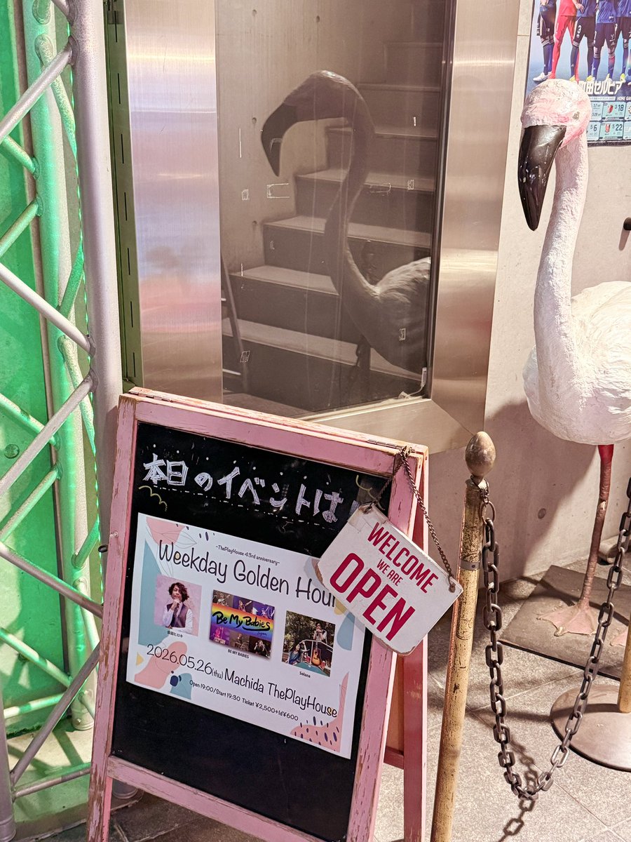 結羽(ゆう) tweet media