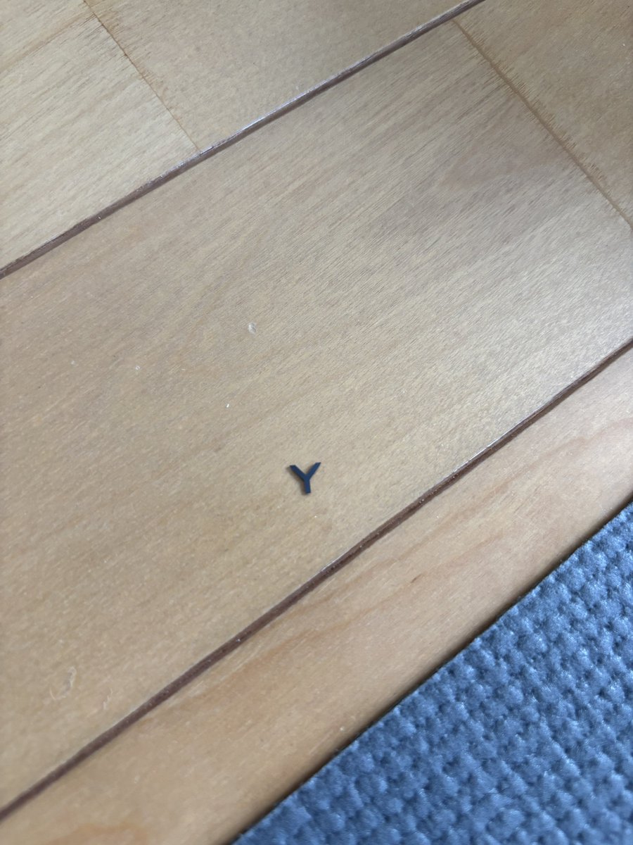 Ext_win_k's tweet photo. 虫かと思ったら今度はちっちゃいY出てきてもう意味分かんない😭😭😭 https://t.co/KhDuEjUvMA