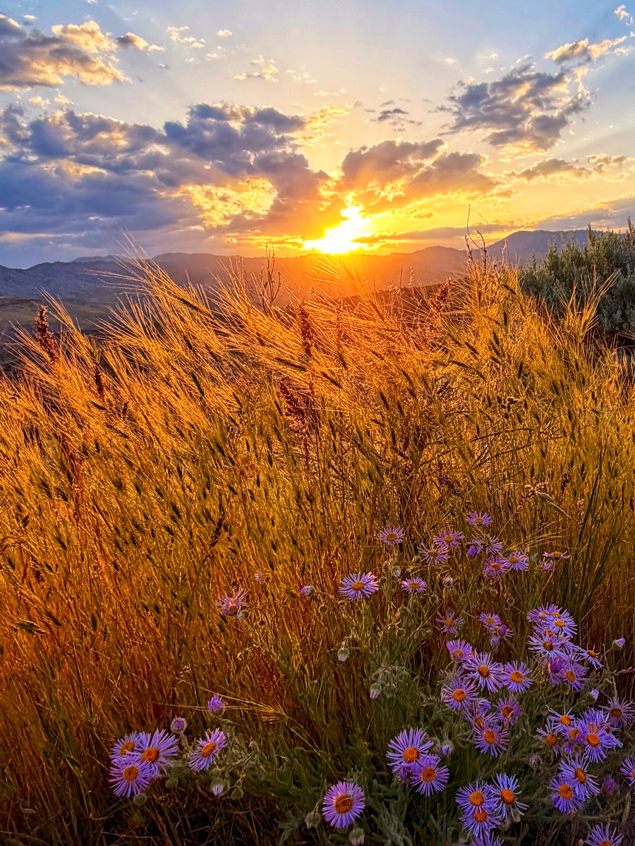 8ntmuch's tweet photo. "I'm trying to paint a picture of what I have seen and what moved me, as well as I can. That’s all."

Photo challenge. It’s like a painting ! 🖼️🎨 https://t.co/pUL7A2Gu2J