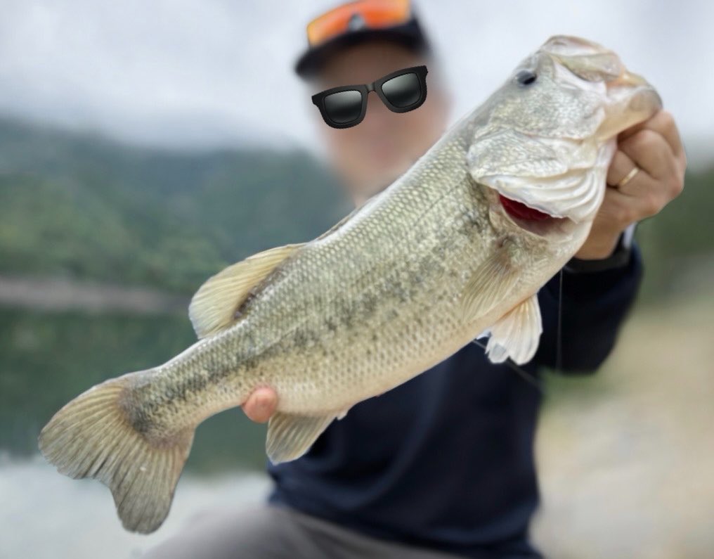 48ty_fish's tweet photo. ゴーマルやっほい😂🤙 https://t.co/GAx6t88jIf