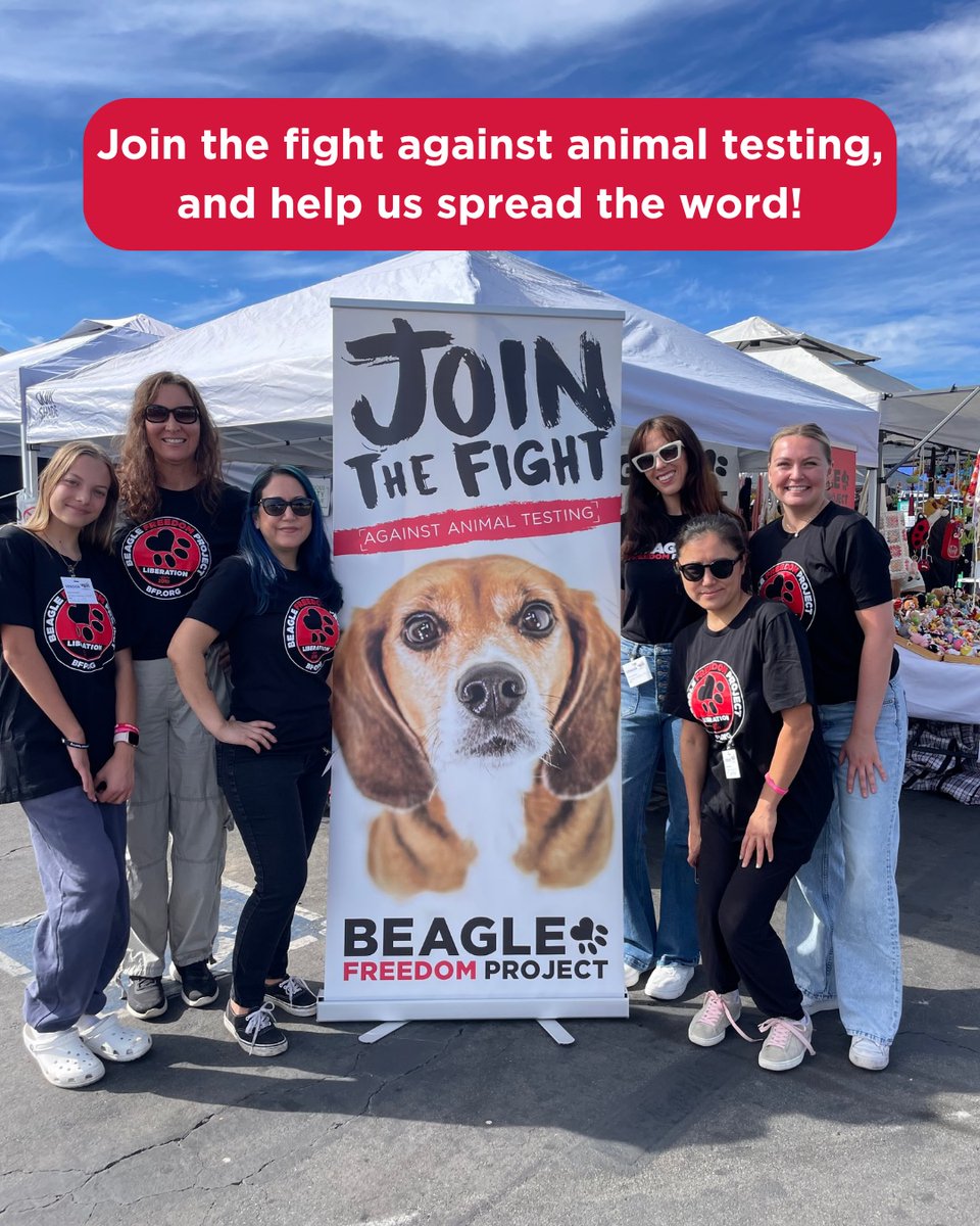 beaglefreedom's tweet photo. VOLUNTEERS NEEDED in Oklahoma🐶

Do you love beagles and want to take a stand against animal testing? 🌟

This weekend, we'll be at Sunfest in Bartlesville, &amp; we’re looking for passionate volunteers to represent BFP &amp; educate others on animal testing ❤️

https://t.co/RScfor1hTd https://t.co/UwxLPjsxPx