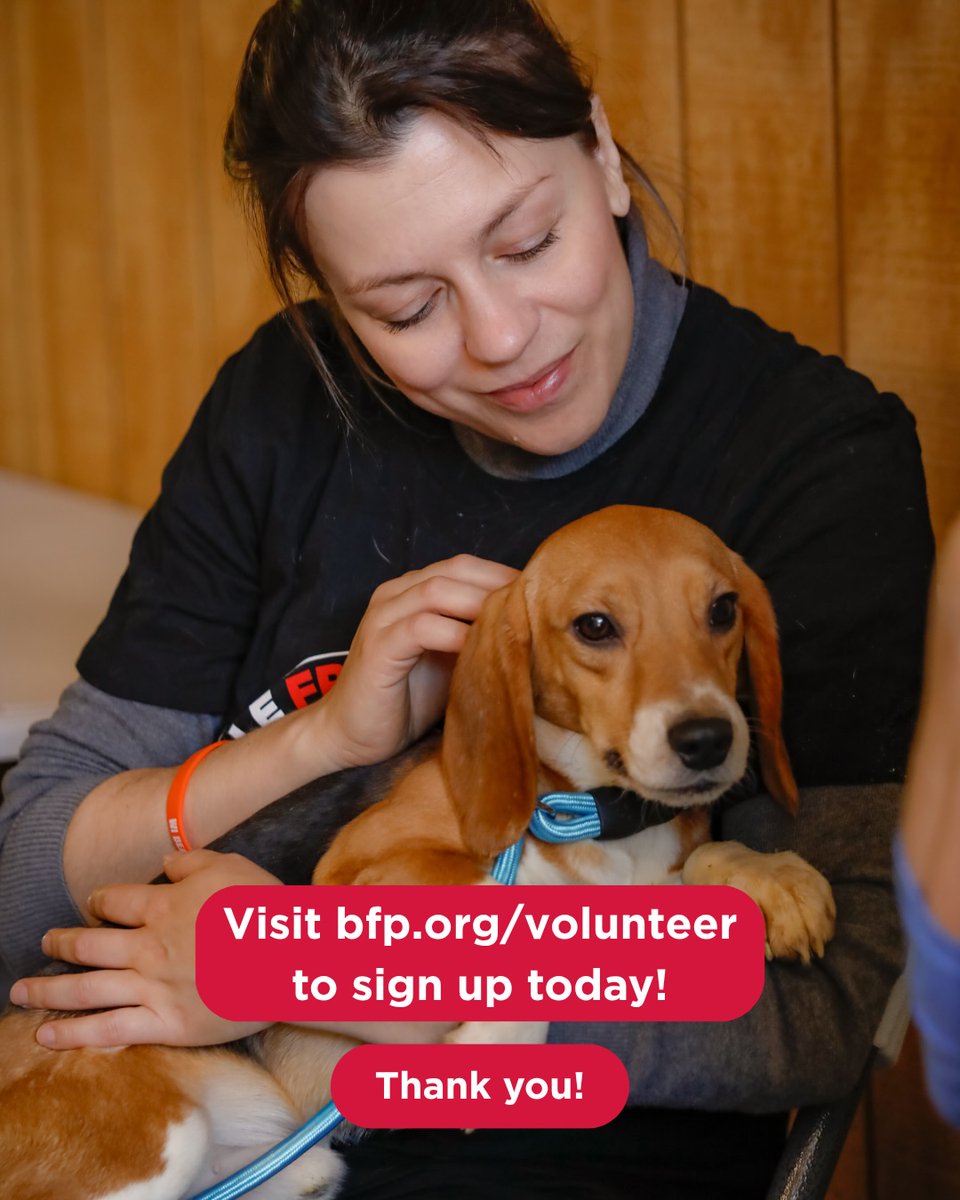 beaglefreedom's tweet photo. VOLUNTEERS NEEDED in Oklahoma🐶

Do you love beagles and want to take a stand against animal testing? 🌟

This weekend, we'll be at Sunfest in Bartlesville, &amp; we’re looking for passionate volunteers to represent BFP &amp; educate others on animal testing ❤️

https://t.co/RScfor1hTd https://t.co/UwxLPjsxPx