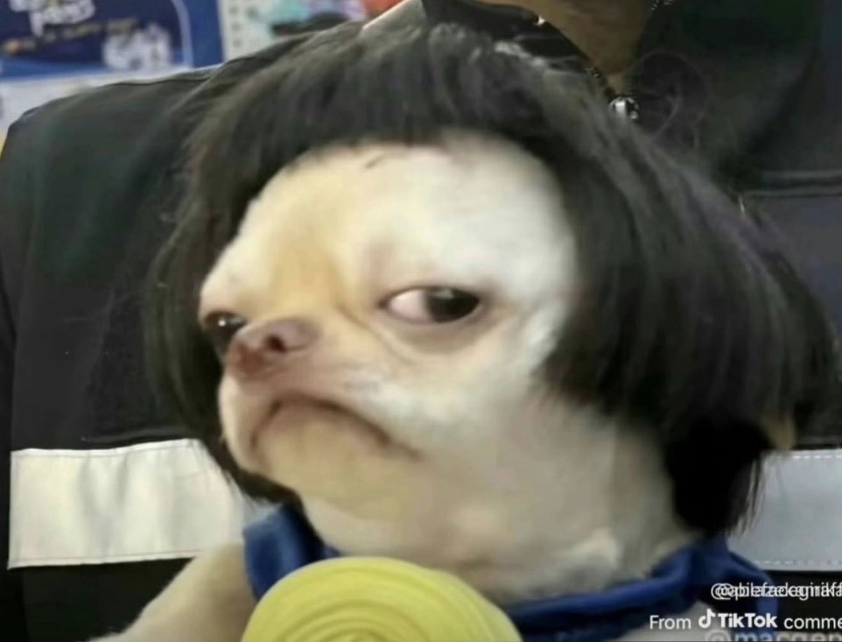 Rieyainctrl's tweet photo. @witchomeanass_ @laesther_c @nanaaareckless Ts is just a bunch of jumbled up words of bullshit buzz words and unnecessary capitalizion i can tell you pick me ass bitch, you just went on saying you the type to brag on shi and then bragged in the same comment. People like you make real rich bxs look corny asf https://t.co/UKLmIsp9bK