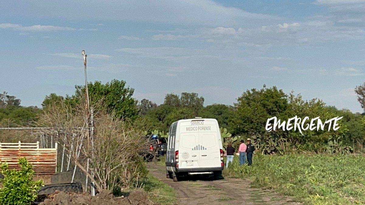 Emergente Qro tweet media