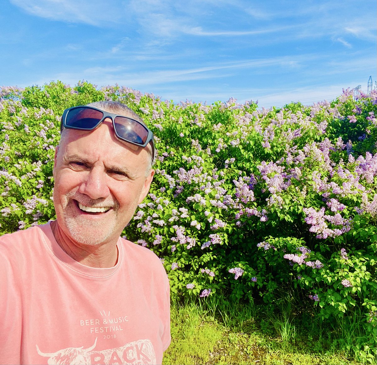 VisibleThink's tweet photo. Maybe not the best blossoms but we have lilacs….
#bloomscroll #purplevibes #lilacs https://t.co/ketcH8yuiH