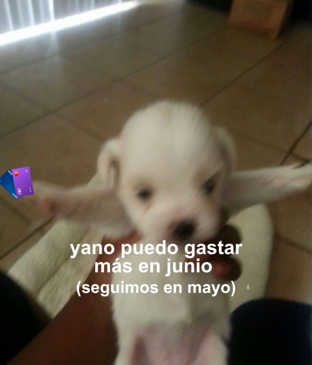 angelo_uf's tweet photo. https://t.co/Alu96DB1WW