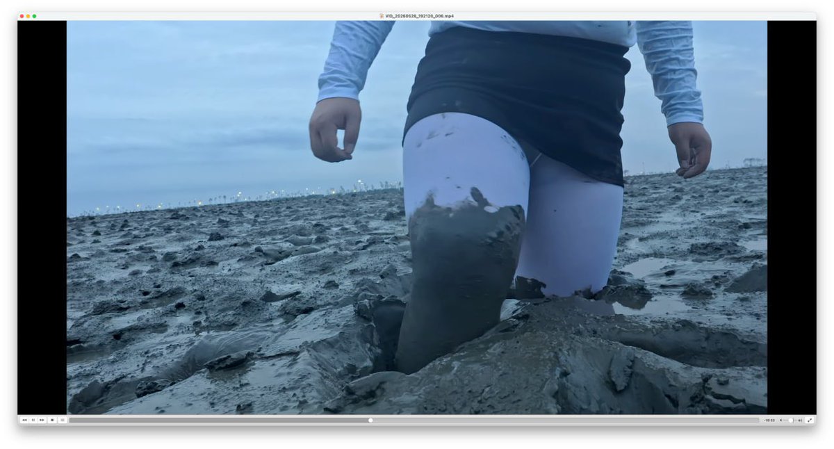 ColorWam's tweet photo. Sea mud https://t.co/hNtZOyuvRm