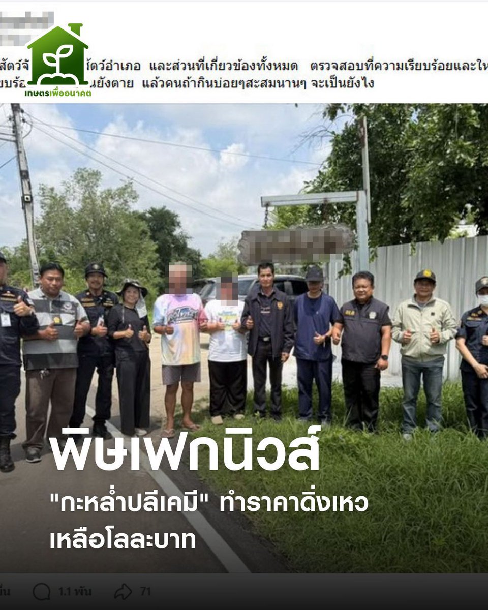 BiofutureTH's tweet photo. ภูทับเบิกกระอัก! พิษเฟกนิวส์ "กะหล่ำปลีเคมี" ทำราคาดิ่งเหวเหลือโลละบาท https://t.co/Fw17ZJdnZy