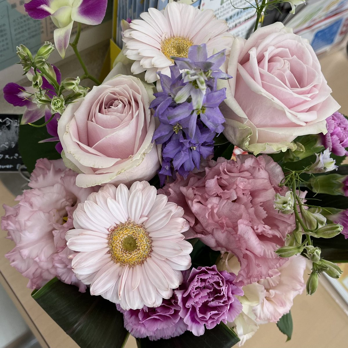 daredevil291's tweet photo. 今週のフラワー
アレジメント💐 https://t.co/ZvyoQcl4DI