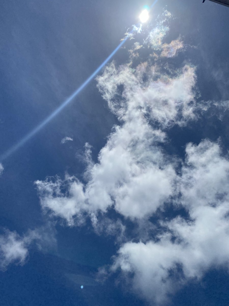 spat6969's tweet photo. 皆様こんにちは🍊
眩しい太陽、良い天気！

5/27のランチは、
⚪︎ココナッツチキンカレー
⚪︎ほうれん草のドリア
⚪︎茄子とベーコンのナポリタンです🍆

爽やかレモネードやアイスコーヒー、オレンジチーズケーキもご用意してお待ちしております🍋 https://t.co/E7eoXWhkL9