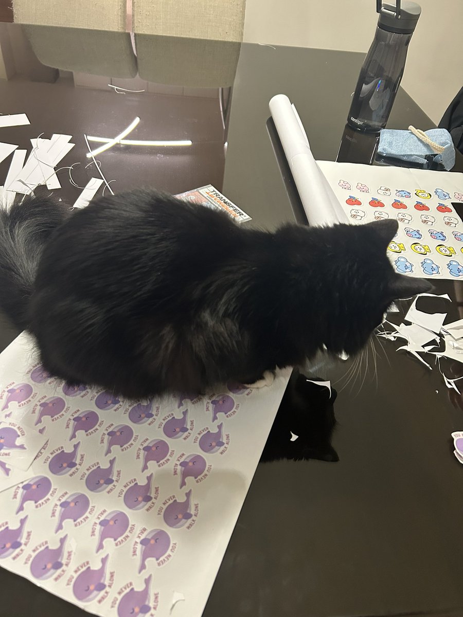rome tweet media