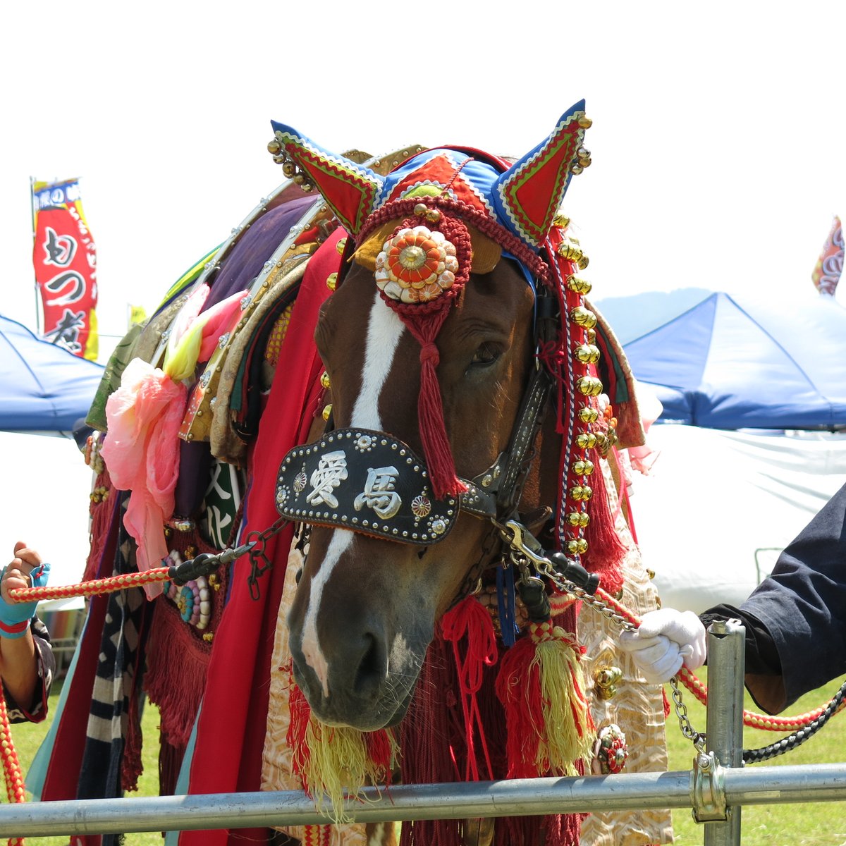 チャグチャグ馬コふれあいまつり㏌滝沢】 はどんな感じ(*'∀')？に