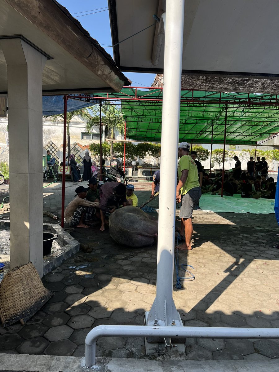 ptnvprl's tweet photo. Tahun kemaren aku bisa qurban buat ibuk aku dan alhamdulillah tahun ini buat aku sendiri semoga tahun depan diberi rejeki lagi biar bisa terus berbagi yaww🥹☘️ https://t.co/VfTfZz3TP6