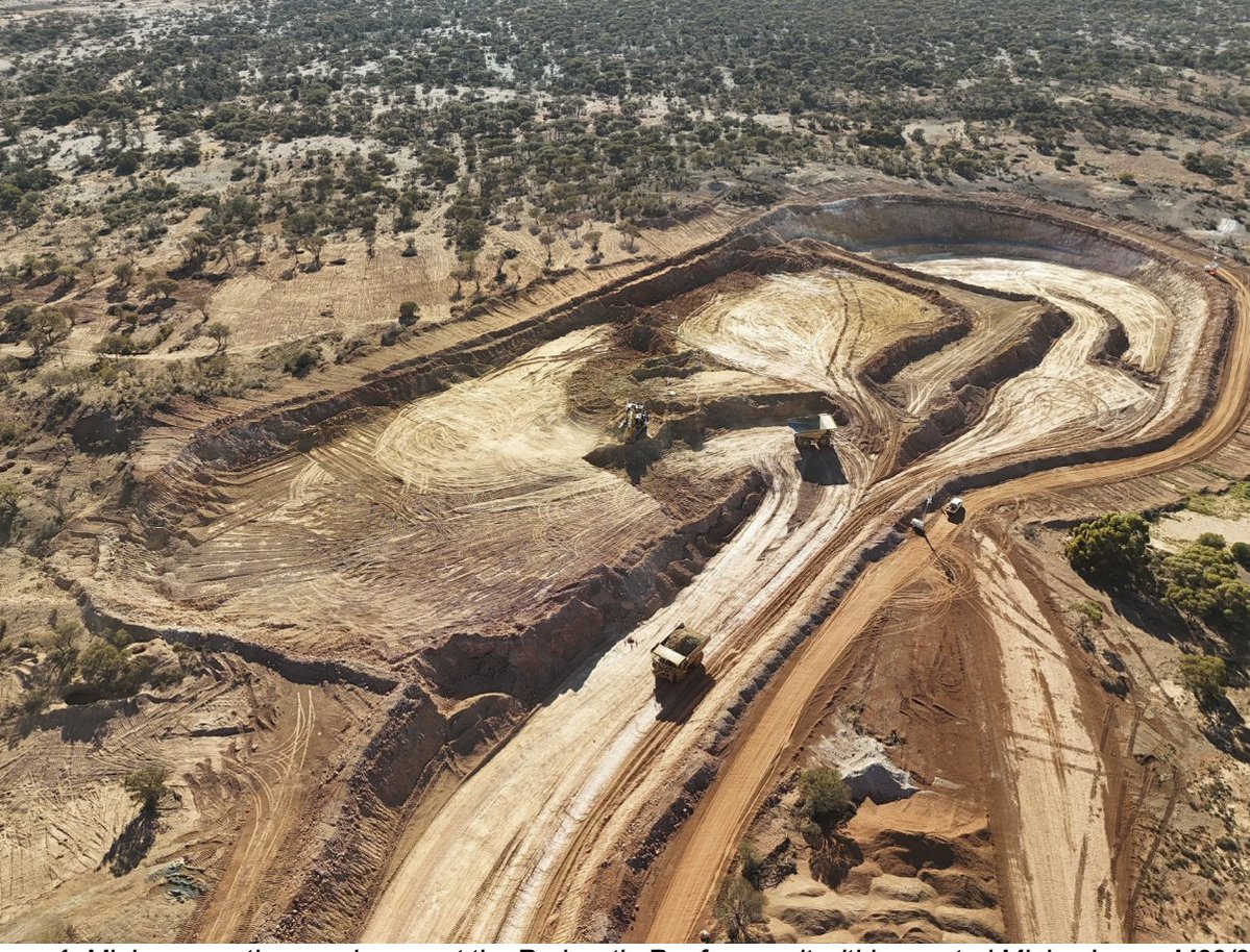 Redcastle Resources tweet media