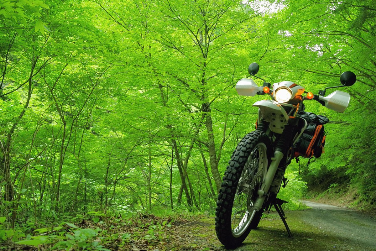 Dblue128sky's tweet photo. 心まで染まるほどの緑が…恋しい(*^^*)

#新緑　#ﾂｰﾘﾝｸﾞ　
#剣山ｽｰﾊﾟｰ林道　#ﾊﾞｲｸのある風景 https://t.co/7Ohzh8tTQS