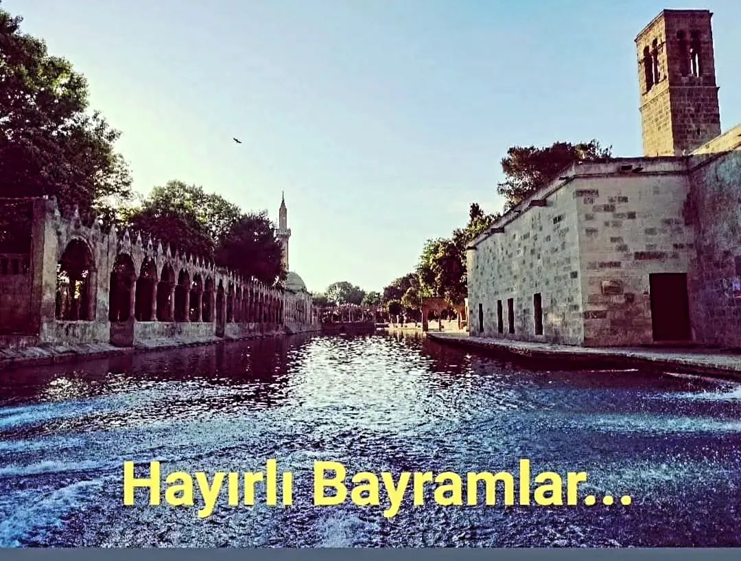 Avedat63's tweet photo. Yaklaşmaktır kurban.
Her ne var ise bizi Allah’tan uzaklaştıran, kurban ederek yakın olmaktır Allah’a.
İçimizi temizlemektir; kirlerimizden ve putlarımızdan arınmaktır..
Bayramınızı tebrik eder, Bayramın insanlığa ve hassaten Gazze'ye hayırlar getirmesini Cenab-ı Hak'tan dilerim. https://t.co/jZFdb2dt9I