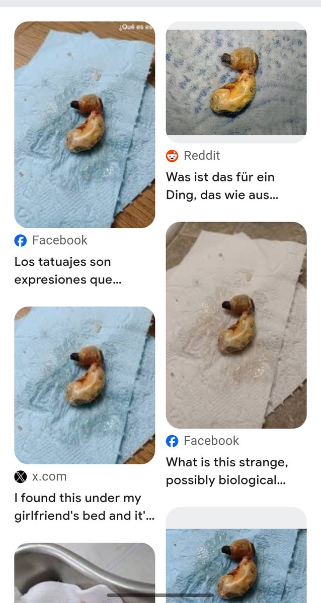 wgg81's tweet photo. @JaphetU20 Ah de ser epidemia porque todo el mundo los está encontrando 😂😂 https://t.co/JGYkiIaM0m