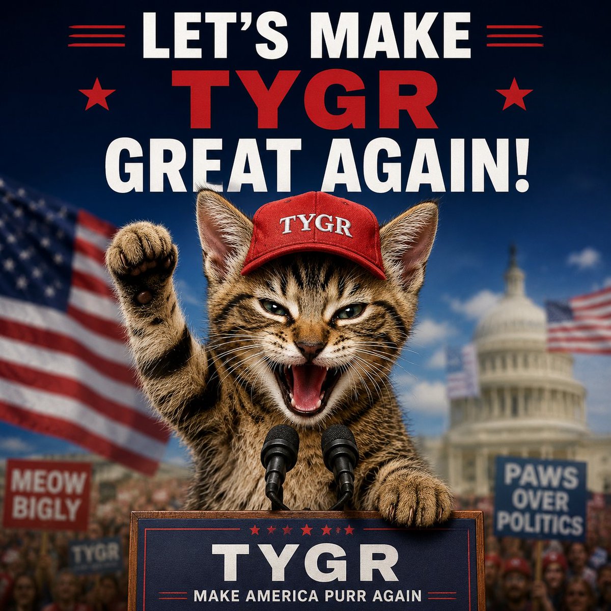 tygreth's tweet photo. LFG 🐱🚀 https://t.co/CYUCWw2KMA