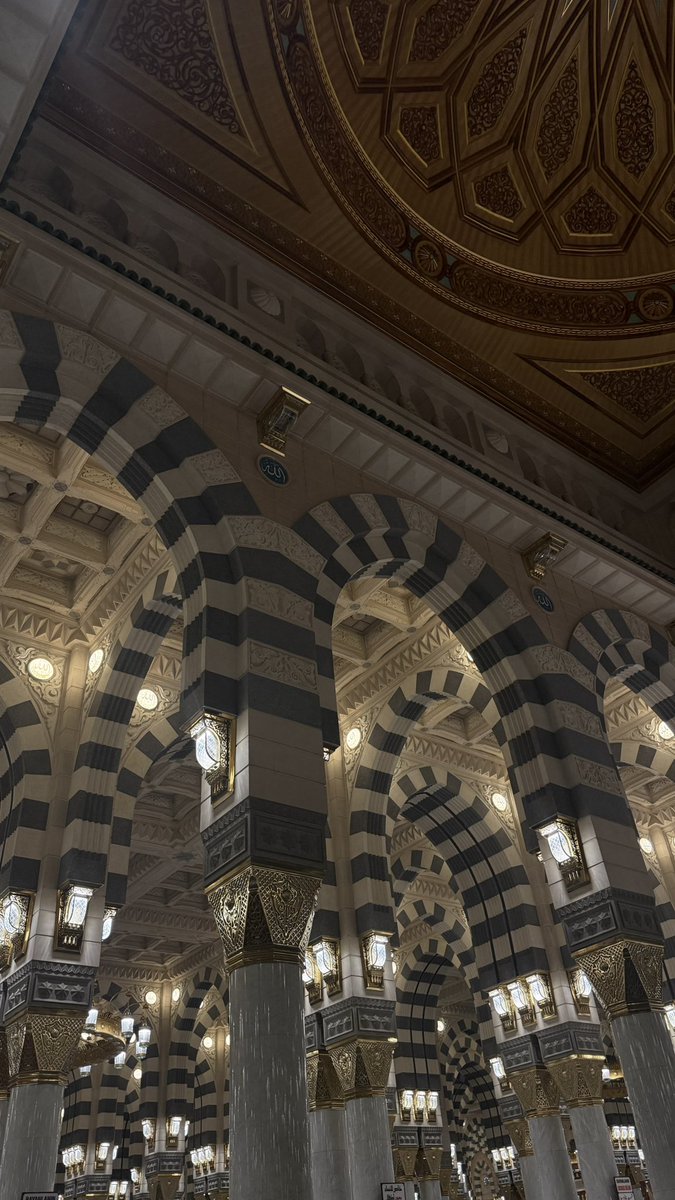 يارب تجيب مية بالتحصيلي وستيب💎 tweet media