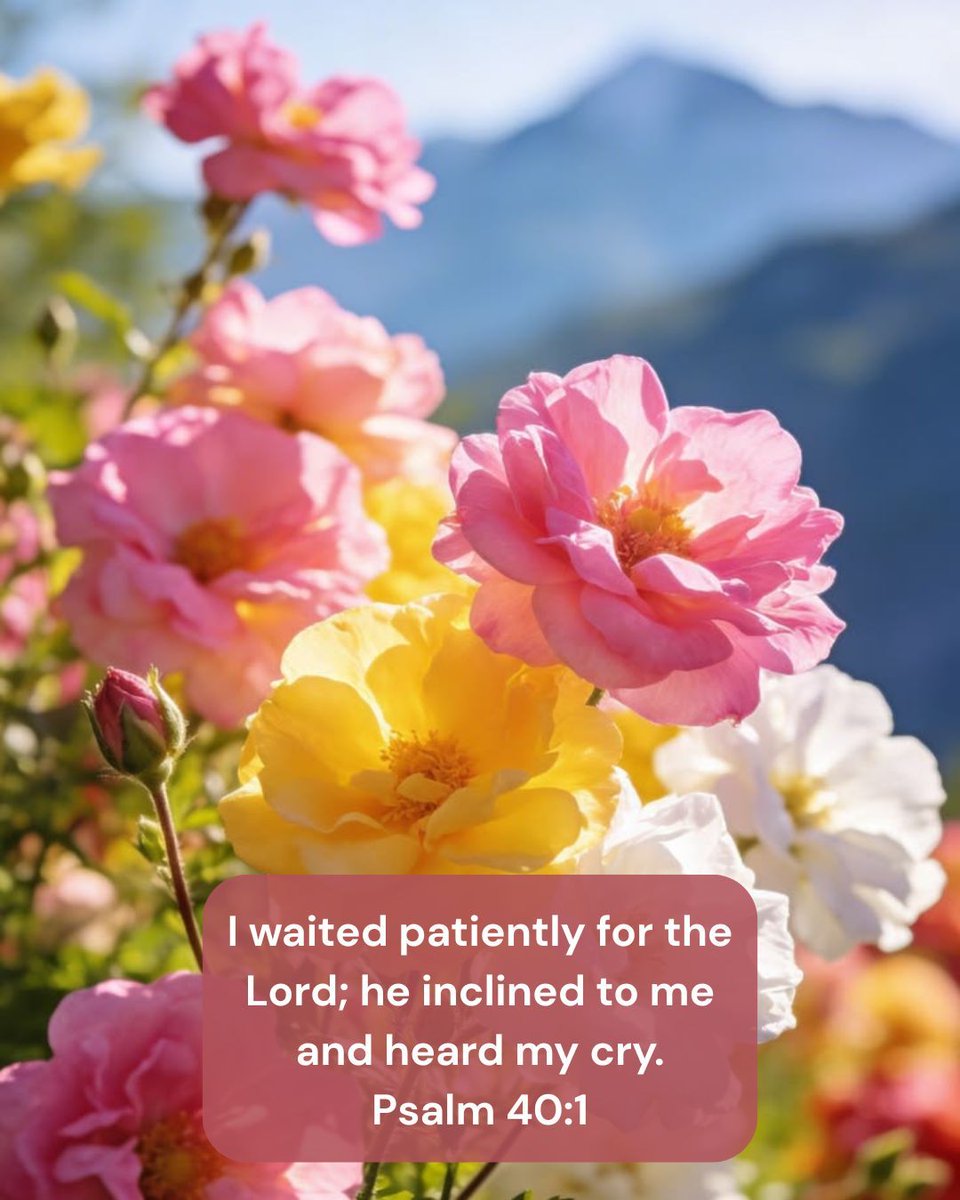 graciapearl's tweet photo. #laterepost
#Repost @allthingsworktogetherforgood
Happy Sunday! Have a wonderful day!
Psalm 40:1 - I waited patiently and expectantly for the Lord; And He inclined to me and heard my cry. -Amplified Bible
โ
#dailydevotion #faithhopelove #godsgift #holy #jesusloves https://t.co/9bRYa33u7U