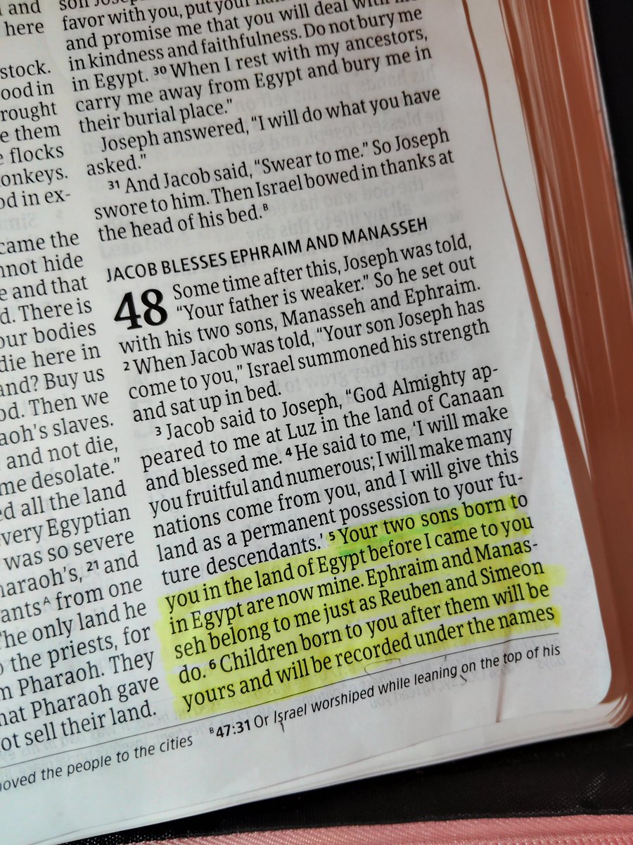 BethLee30439901's tweet photo. The land was not promised to the Jewish people it was promised to the descendants of Abraham and through Jacob that would mean Egyptians would have a claim as well. So get over yourselves https://t.co/kK2Srhemuk