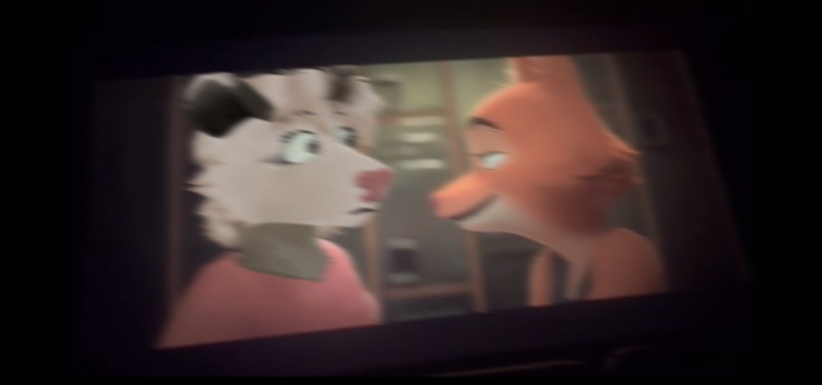 Nova 🦊 tweet media