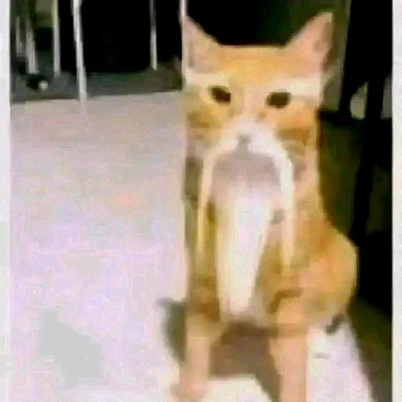 self023's tweet photo. @JustMikepero2 @DavidAMR101 ¿Esto va a ser un jueguito de Roblox o solamente son conceptos? perdón, no estoy muy enterado https://t.co/uiara5sIYx