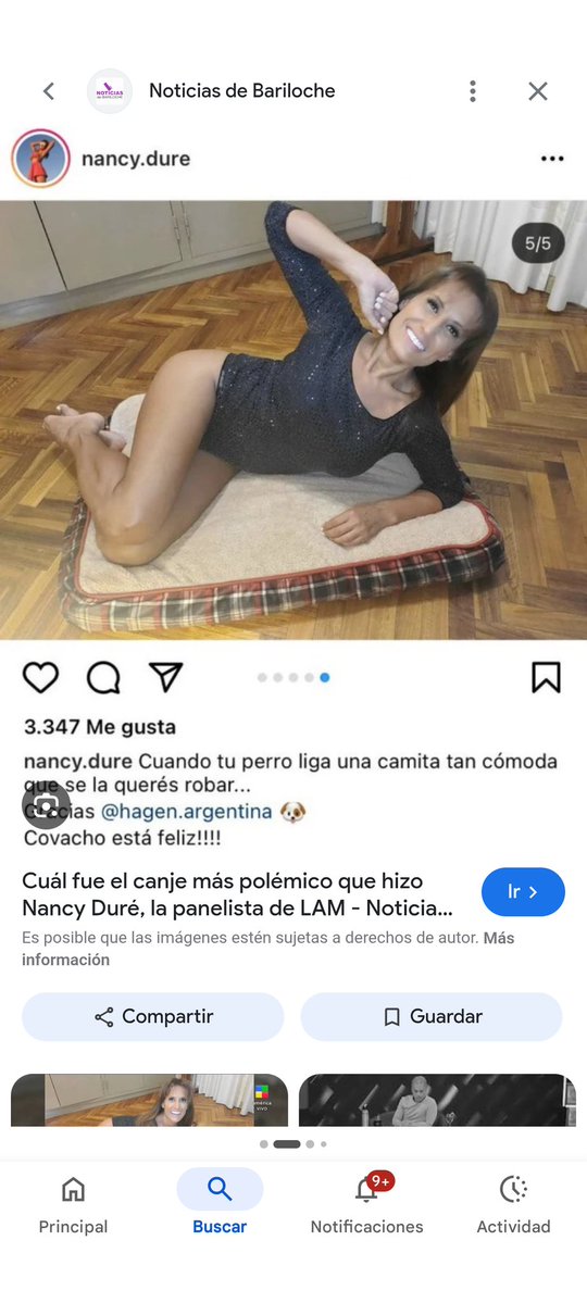 GACHYROJAS tweet media