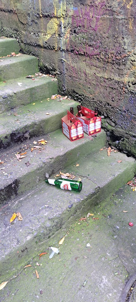 comiteseminario's tweet photo. Incivilidades en las escaleras de Puerto Montt. Foto de hoy en escalera dd Luid Ross. Se necesita apoyo urgente de seguridad @munipuertomontt https://t.co/yDddFVhXOZ