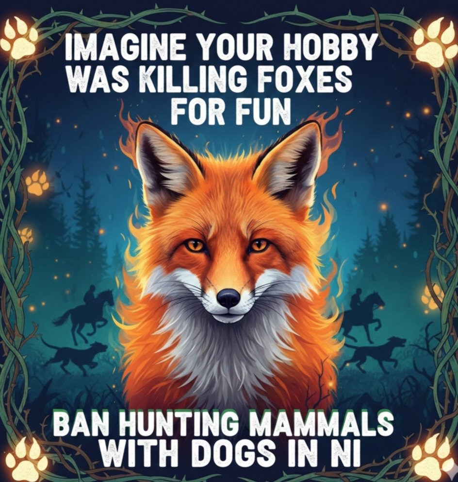 TeamFoxNI's tweet photo. @CAupdates @CAIreland Dry your eyes and catch a grip of yourselves for goodness sake! Northern Ireland will not tolerate animal cruelty in any form. Fox hunting is barbaric. No human in their right mind enjoys watching an animal being ripped apart for the sheer fun of it! https://t.co/8Iiog0eVsB