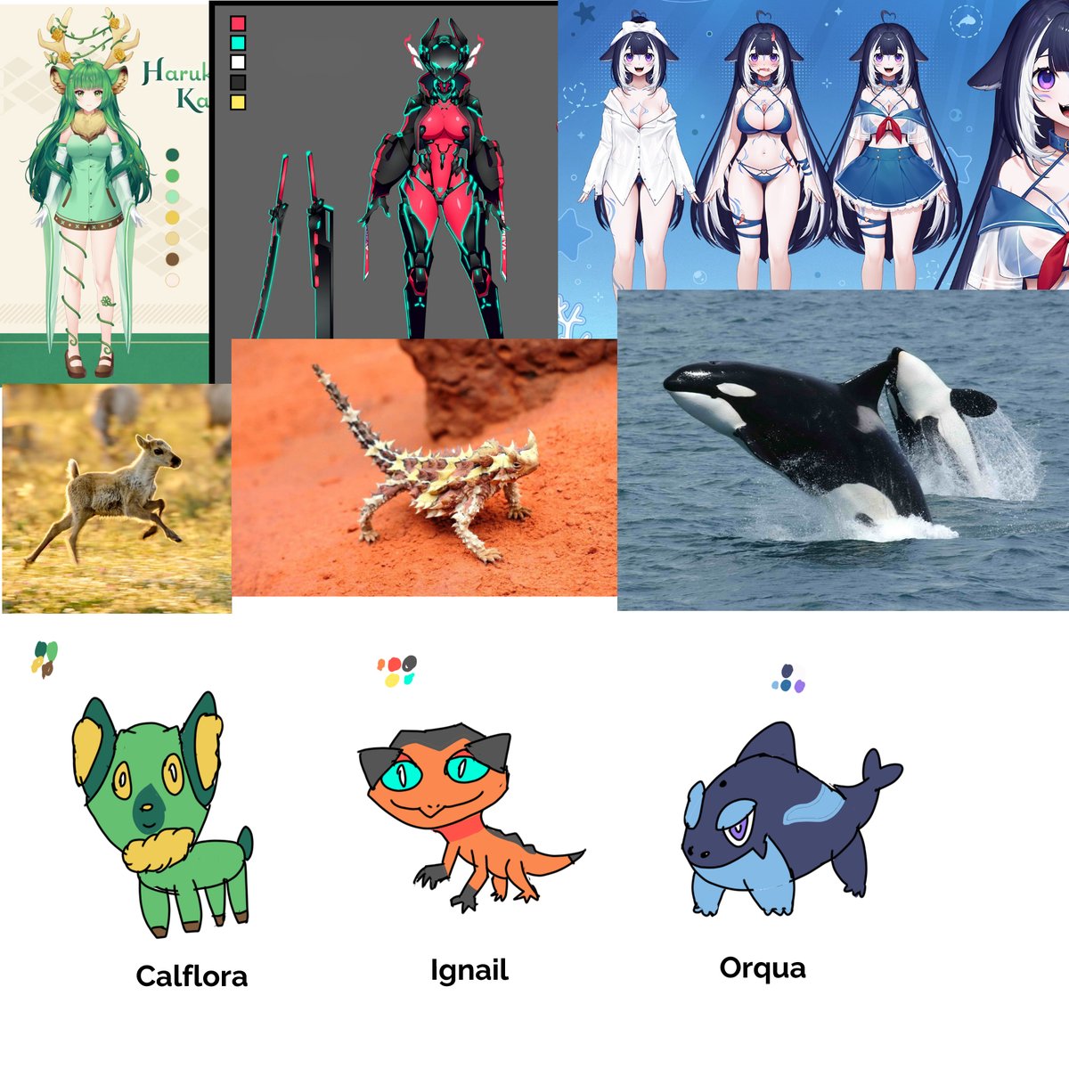 Razor Samemaru 🦈🥷 tweet media