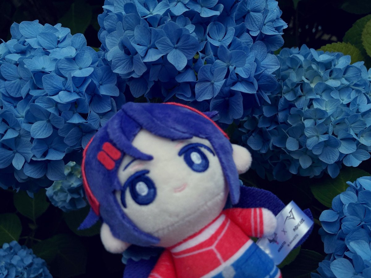 Spaz_91's tweet photo. ミタちゃんにリアルの世界を案内
私が思う最も綺麗な花、紫陽花だよ🐌 https://t.co/fvP2fXqODS