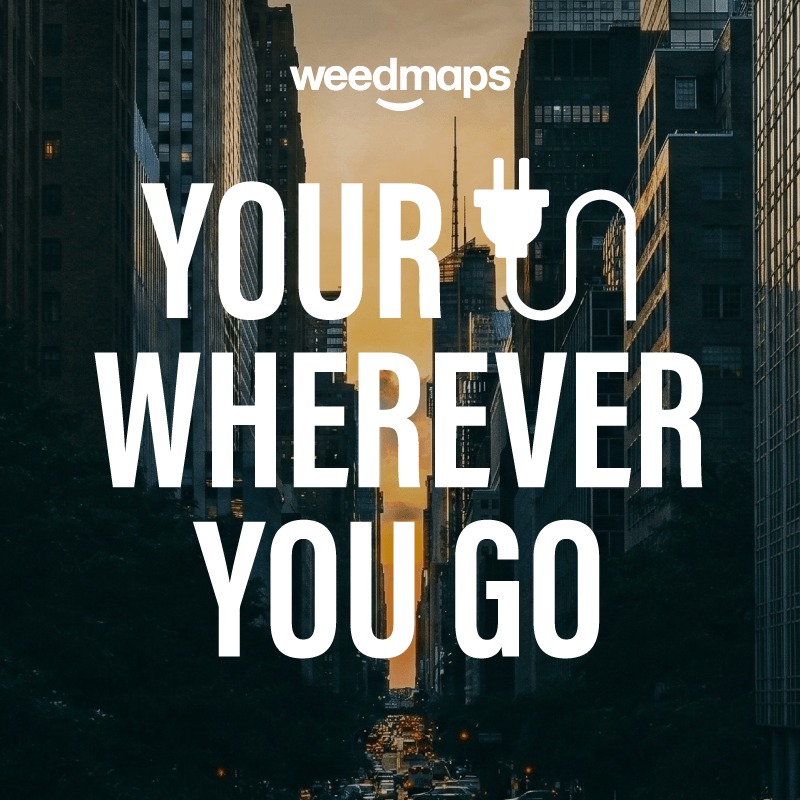 weedmaps's tweet photo. Your one-stop-shop for everything weed 🌿