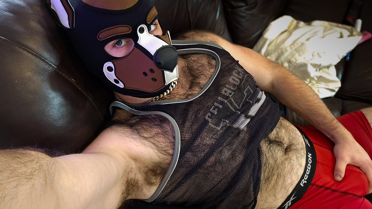 PUP JACK tweet media