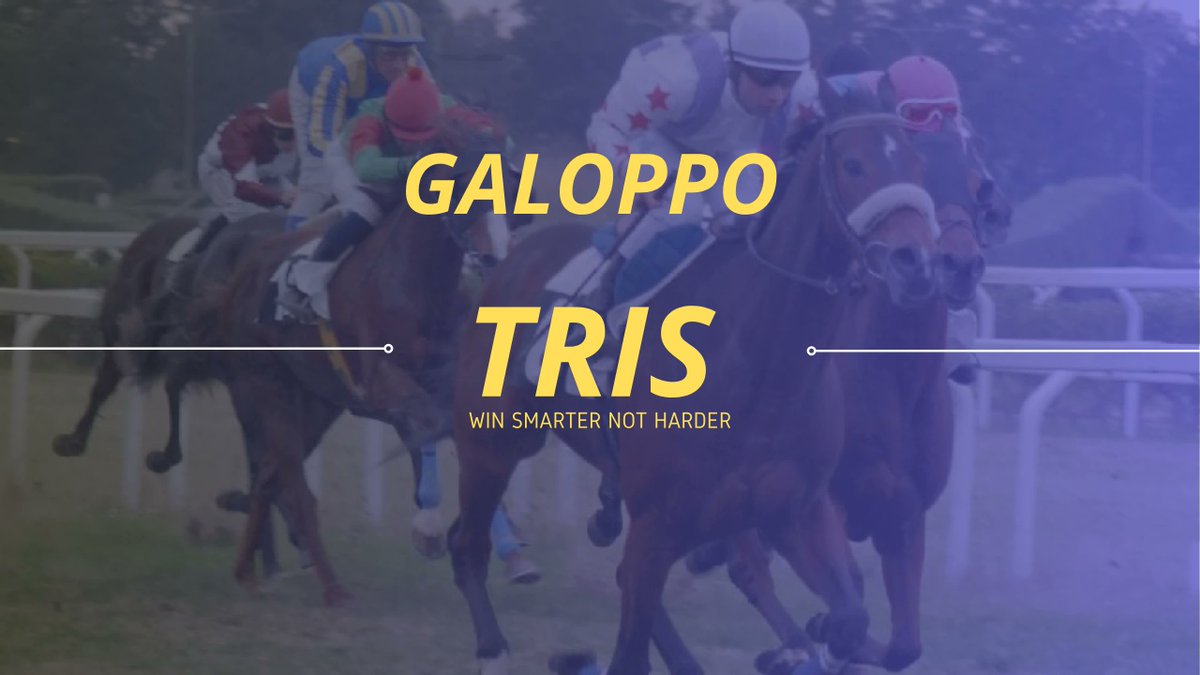 Tipster Expert tweet media
