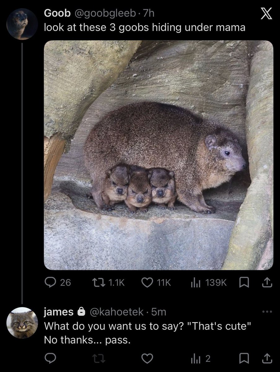 ꨄ sarah tweet media