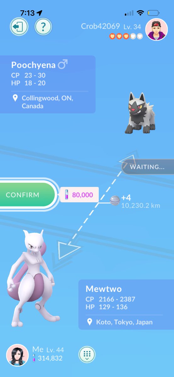 skitty tweet media