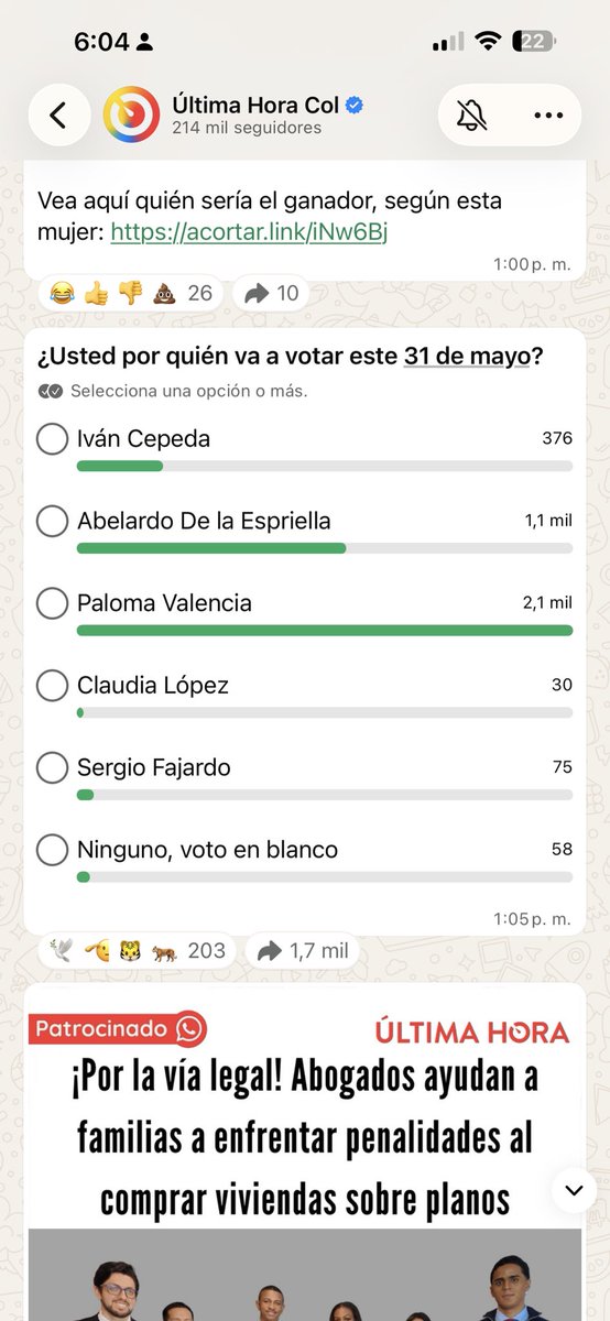 Caroladino 🦒♥️ tweet media
